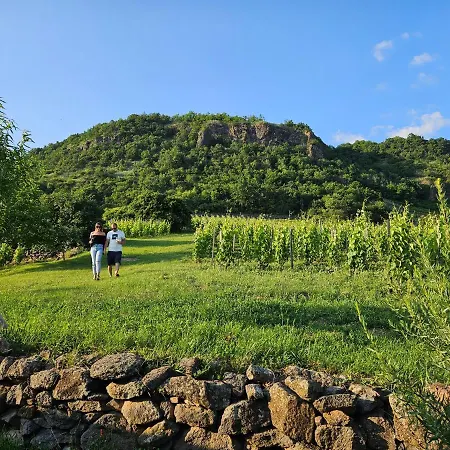 Somloi Vandor Apartament