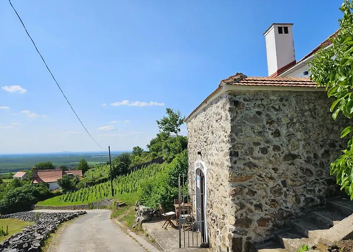 Somloi Vandor